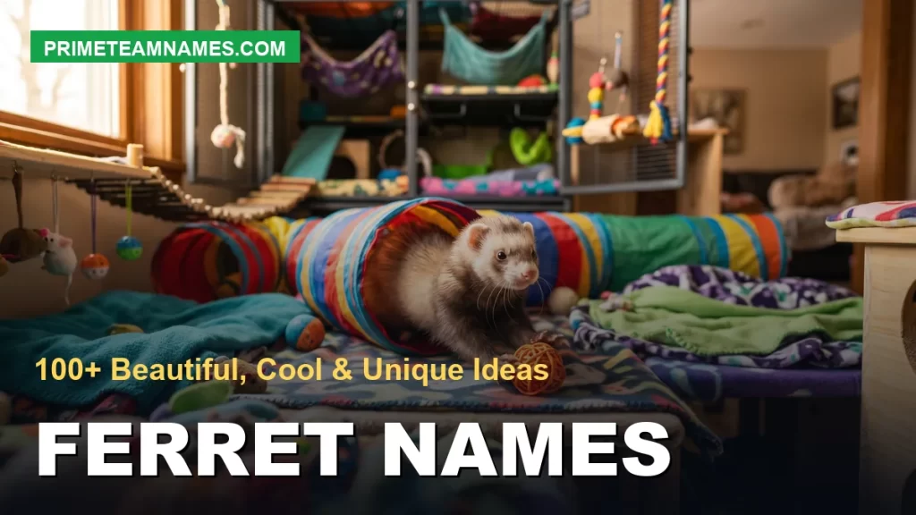 ferret names: beautiful, cool, and unique ideas