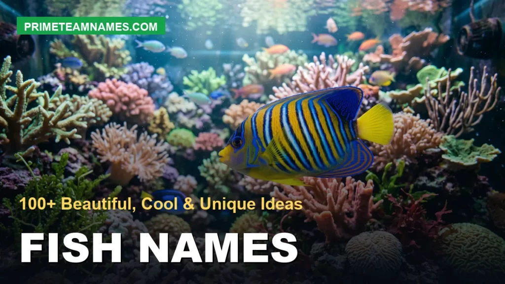 fish names: beautiful, cool, and unique ideas
