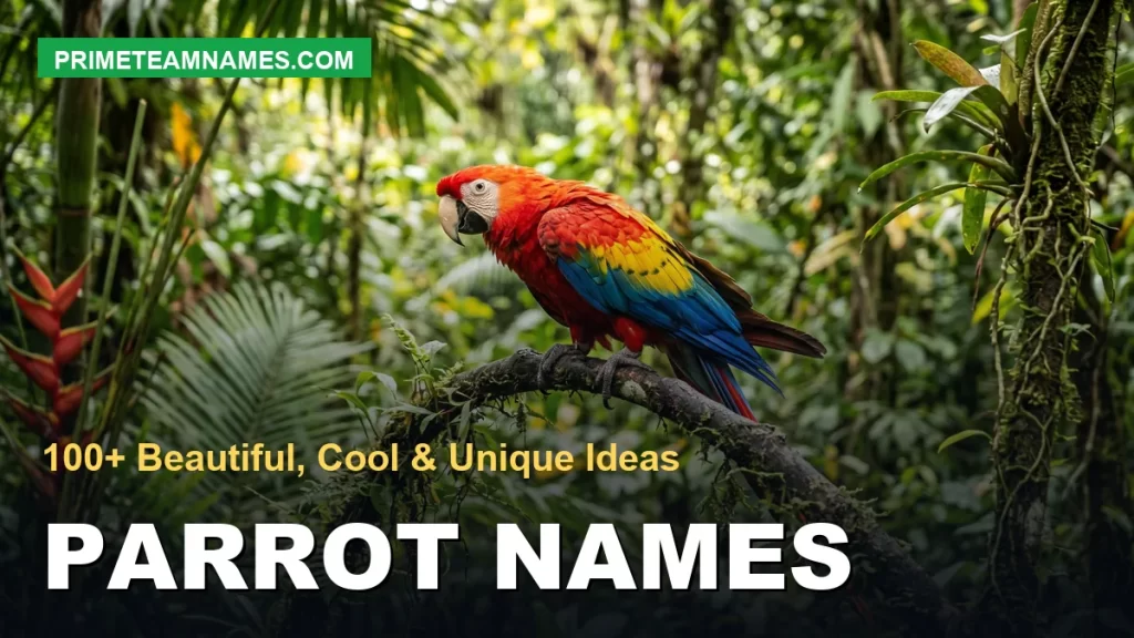 parrot names: beautiful, cool, and unique ideas